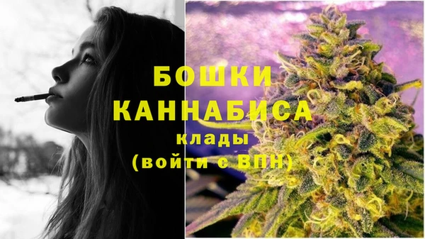 спиды Анива