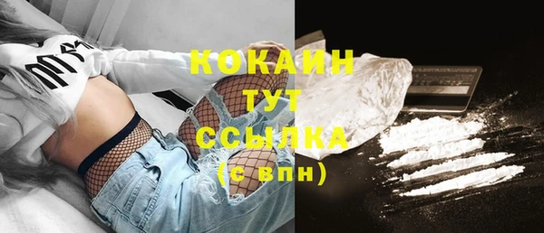 гашик Наволоки